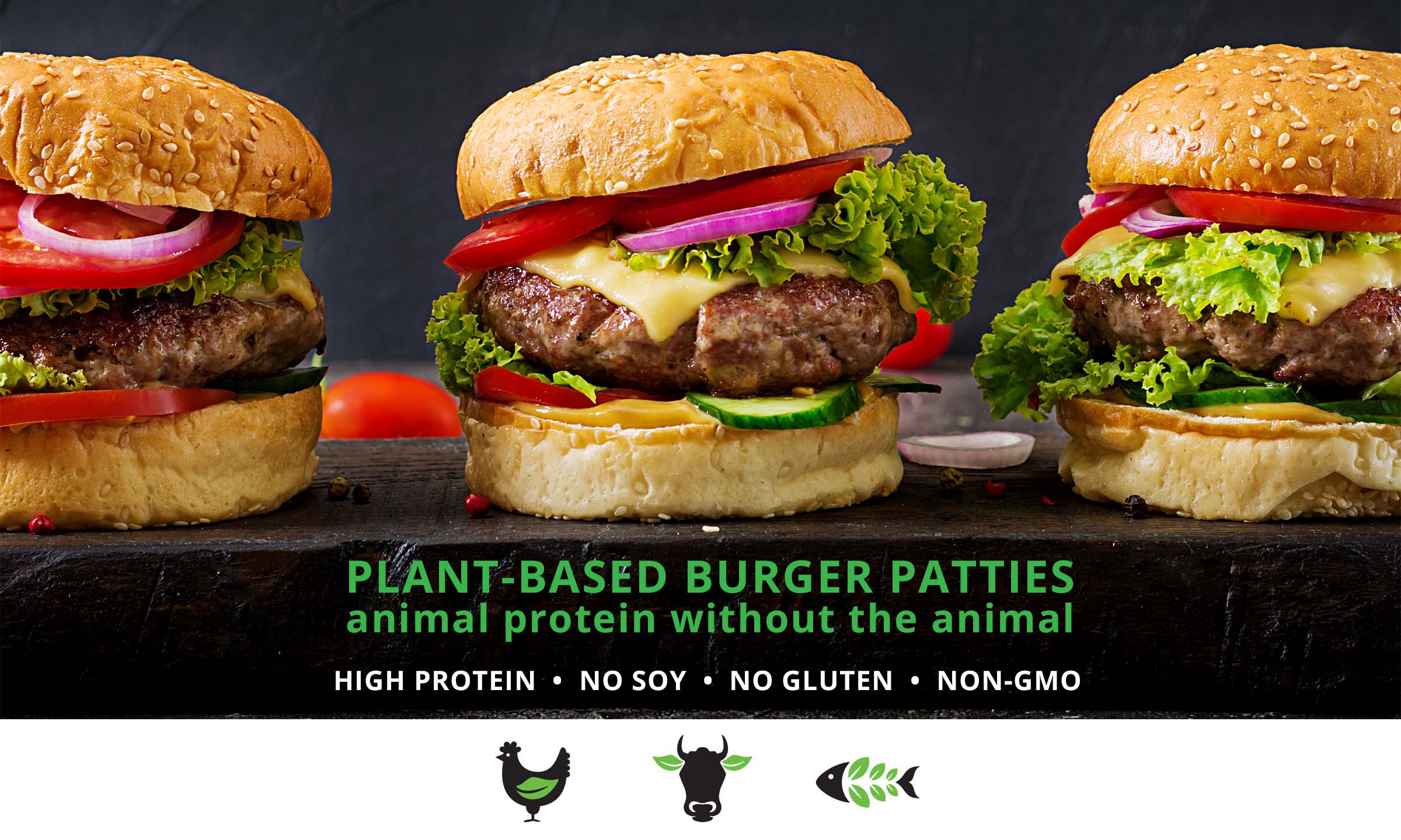 Plant-based burger patties, high protein, no soy, no gluten, non-GMO